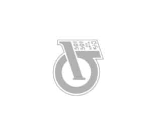 logos para web_0001_Qiqihar_Logo-Gris